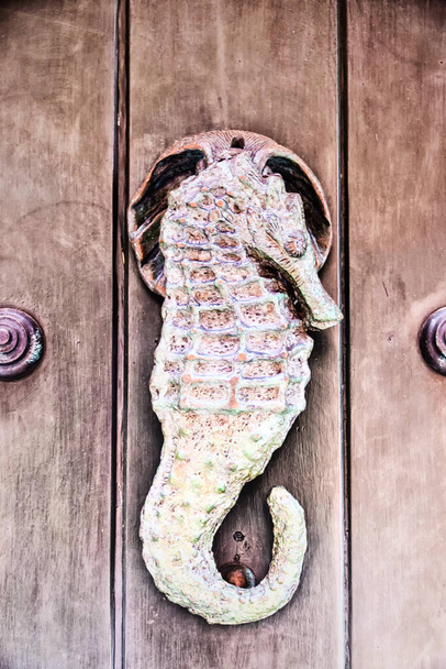 Metal knocker shaped sea horse (Hippocampus Syngnathidae). Spanish colonial style door. Cartagena de Indias, Colombia. - Photo, Image