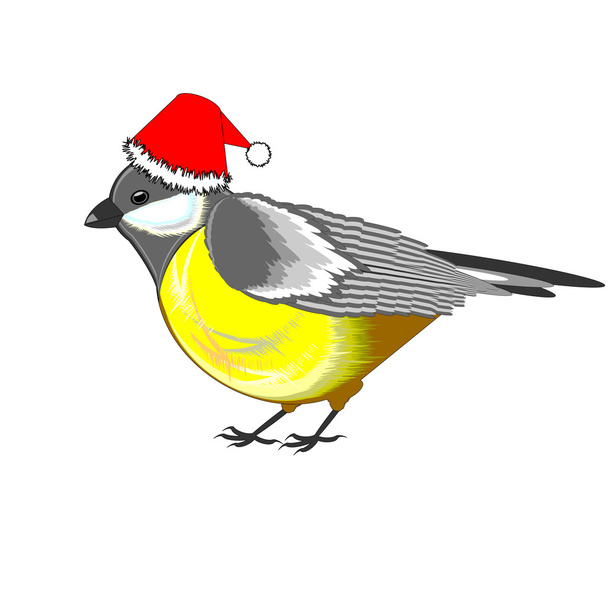 A cute Christmas titmouse isolated on a white background - Vetor, Imagem