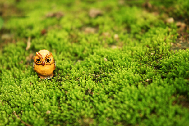 緑の苔の上にかわいいフクロウ粘土人形 - 写真・画像