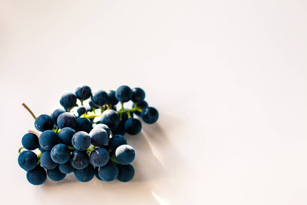 abstract background with grapes - Fotoğraf, Görsel