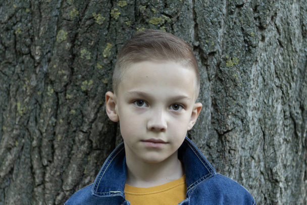 A boy of 8 years old with a beautiful hairstyle and blond hair poses on a dark background in casual clothes - Photo, Image