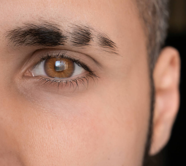 Olho brilhante do olho, sobrancelha com cicatriz, olho marrom afiado, olho do homem close-up
 - Foto, Imagem