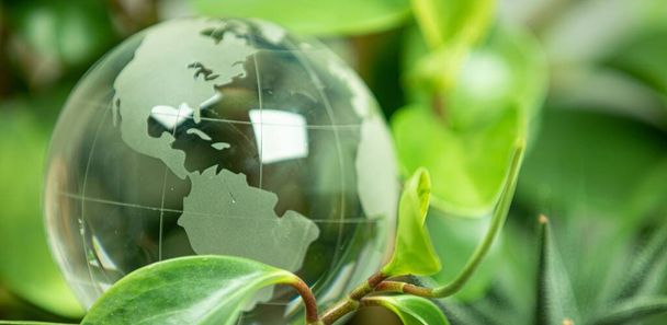 green earth concept glass sphere  - Фото, зображення