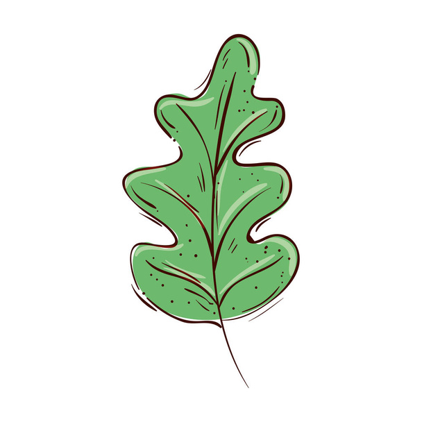 leaf nature ecology isolated icon - Wektor, obraz