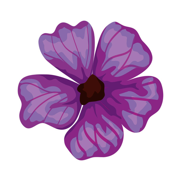 cute flower purple color isolated icon - Vektör, Görsel