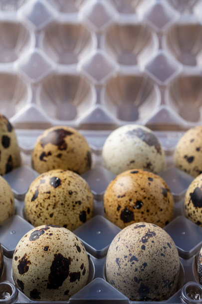 Vista superior de huevos de codorniz en envases de plástico sobre mesa de madera oscura en vertical
 - Foto, imagen
