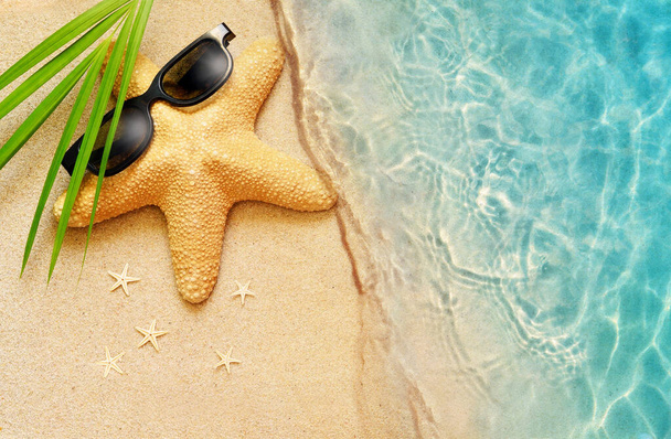 Yaz kumsalı geçmişi. Palmiye yaprağı, güneş gözlüğü ve deniz yıldızı. Yaz konsepti. - Fotoğraf, Görsel