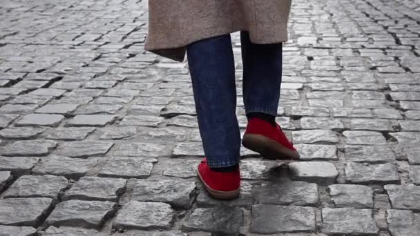Τα πόδια μιας γυναίκας με κόκκινα παπούτσια έρχονται κατά μήκος του δρόμου. Έννοια του περπατήματος και την επίτευξη στόχων. - Πλάνα, βίντεο
