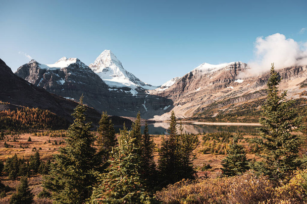 Scenery of mount Assiniboine with lake Magog and blue sky in autumn forest on provincial park at British Columbia, Canada - Фото, изображение