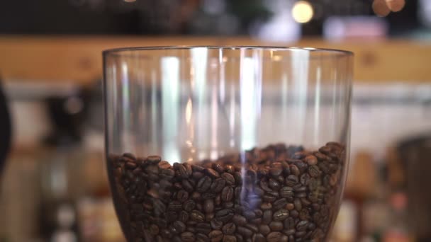 μπάρμαν ρίχνει κόκκους καφέ σε ένα επαγγελματικό μύλο καφέ - Πλάνα, βίντεο