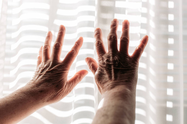 Elderly woman hands on the light. Rheumatism, arthritis - Fotoğraf, Görsel