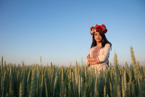 Jolie jeune femme porter des vêtements ukrainiens traditionnels et une couronne de fleurs marcher dans le champ de blé, belle fille ethnique en couronne florale décorée à la main admirer la nature, fond bleu ciel
 - Photo, image