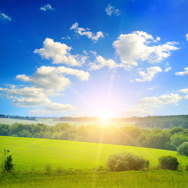 Green field and blue sky with light clouds. Bright sunrise over the horizon. - Photo, image