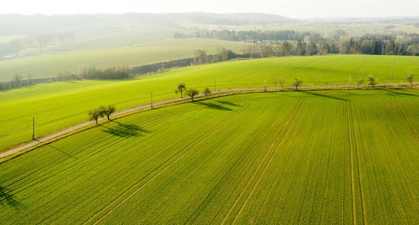 Zöld művelésű mezőgazdasági földterület autópálya közelében, hegyekkel a háttérben. Kilátás a pályára - Fotó, kép