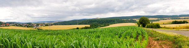夏のパノラマドイツの自然牧草地北ヘッセ - 写真・画像