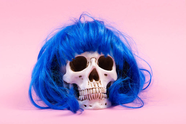 Human skull with blue hair close-up on a pink background, isolate. Halloween, medicine, anatomy. Front view, place for text, copy space - Foto, imagen