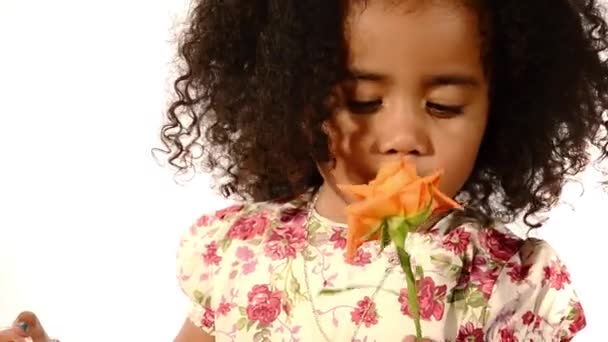 Funny mixed race black and latino brazilian little girl isolated blowing soap bubbles and sniffing rose - Footage, Video