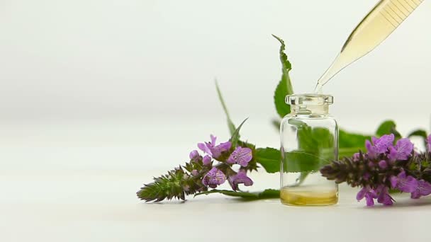 marsh woundwort essential oil in  beautiful bottle on White background - Footage, Video