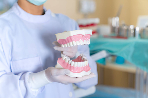 Dentista feminina em pé no consultório odontológico usando um modelo de mandíbulas para mostrar a maneira adequada de escovar os dentes
 - Foto, Imagem