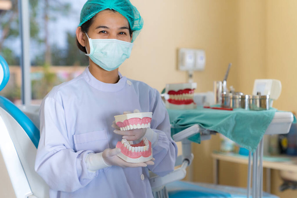 Odontoiatra in piedi nello studio dentistico utilizzando un modello di mascelle per mostrare il modo corretto di lavarsi i denti
 - Foto, immagini