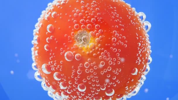 Verse rode tomaten in een plons water. sappige groenten close-up, macro selectieve focus. - Video