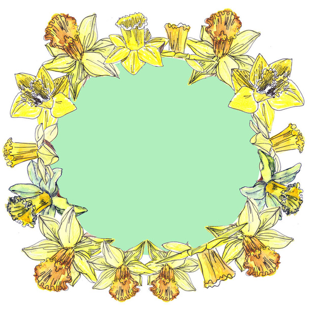 couronne dessinée de jonquilles jaunes printemps tendres aquarelle sur fond blanc avec un milieu vert clair
 - Photo, image