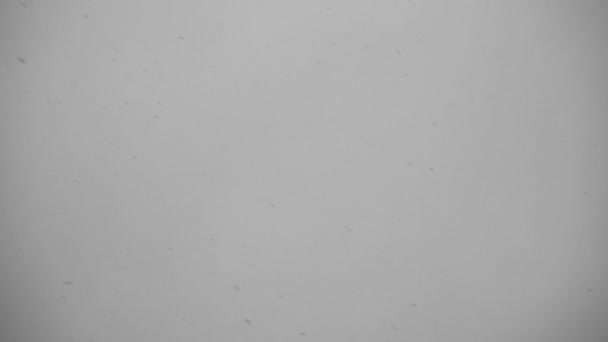 Footage falling snow in twilight on grey background - Footage, Video