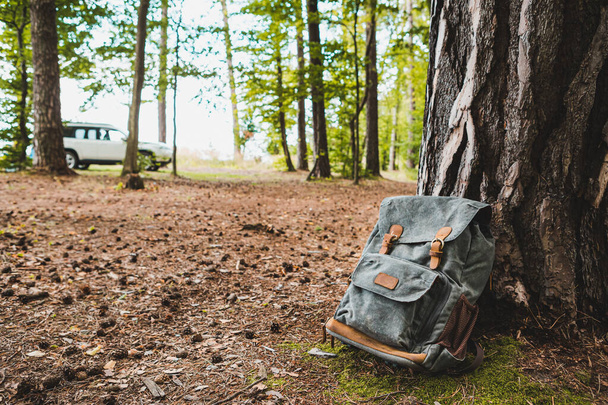 hiking backpack near tree in forest hiking concept - Фото, зображення