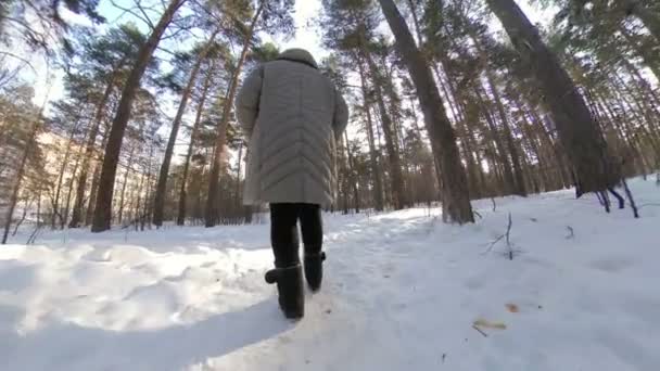 冬の森のおばあちゃんおばあちゃんおばあちゃんが道を歩いている。下からのリアビュー。カメラは太陽の方向に回転します. - 映像、動画