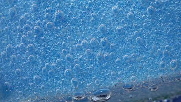 plato azul lavado de esponja macro. burbujas, bajo el agua. esponja macro porosa. Fondo azul poroso de primer plano
. - Metraje, vídeo