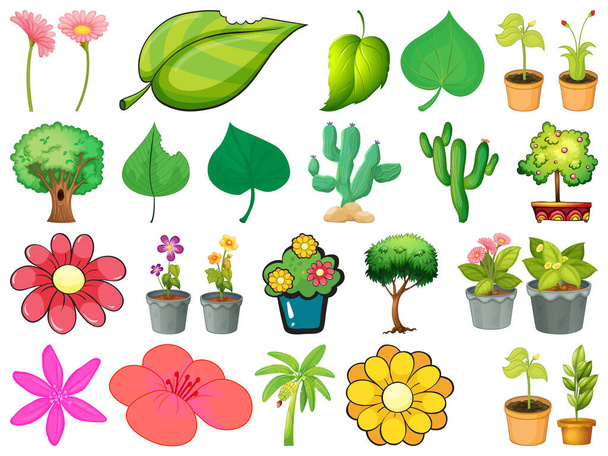 Gran conjunto de diferentes plantas sobre fondo blanco ilustración
 - Vector, imagen