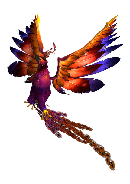 Flying Phoenix - Fotografie, Obrázek