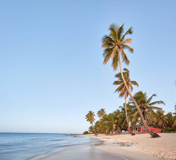 Paradise beach. Tropical paradise, white sand, beach, palm trees and clear water. - Foto, Bild