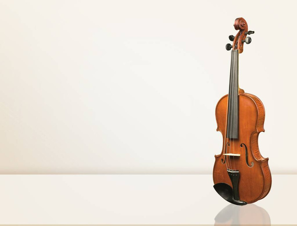 classical violin on a white background - Φωτογραφία, εικόνα