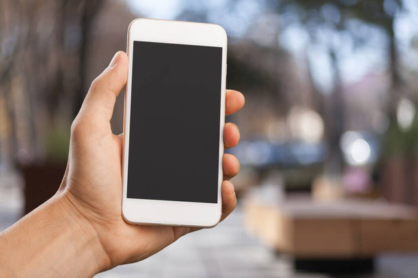 hand holding smartphone with blank screen - Foto, Bild