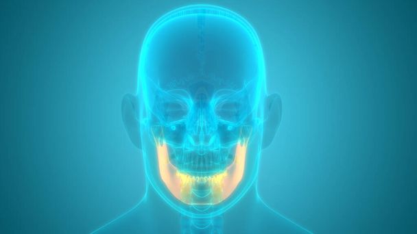 3D Εικονογράφηση του ανθρώπινου κεφαλιού στο παρασκήνιο - Φωτογραφία, εικόνα