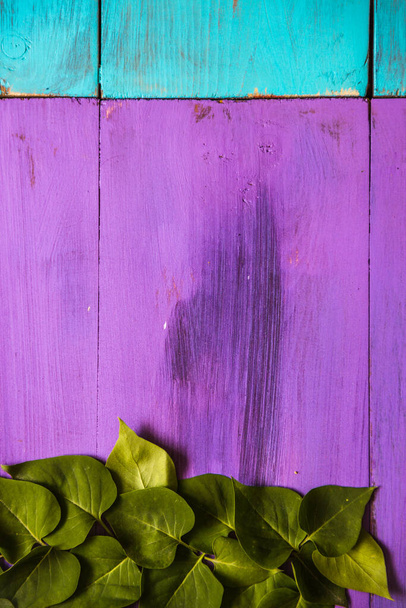 spring green leaves on a wooden background of purple and turquoise. - Photo, Image