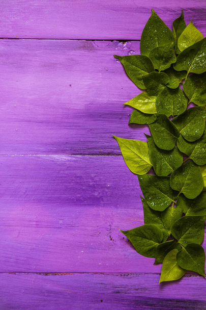 lente groene bladeren op een houten achtergrond van paars. - Foto, afbeelding