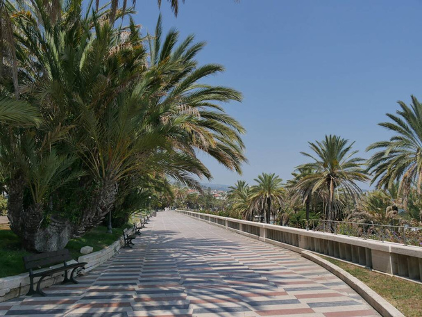 Променад Сан-Ремо вдоль пляжа между пальмами и с белым - черным - красным шахматным тротуаром
  - Фото, изображение