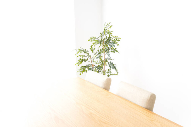 empty table and green plant in light room - Фото, изображение