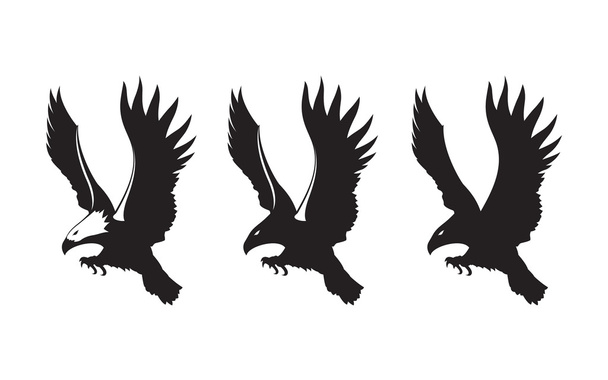 Сильный чёрный орёл в воздухе атакует
 - Вектор,изображение