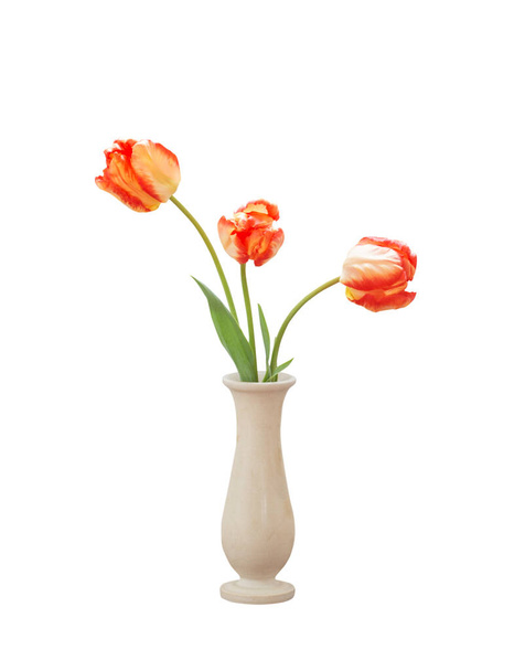 tulips in vase isolated on white  background - Fotoğraf, Görsel