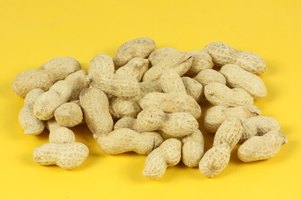 Peanut on white background - Fotó, kép