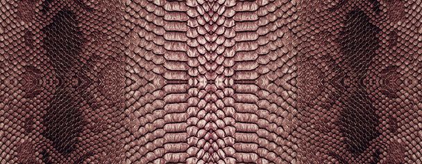 Snake skin texture closeup background. Panoramic web banner with copy space background - Photo, Image
