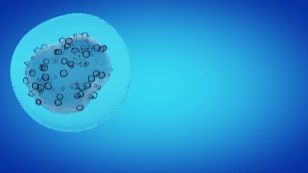 Egy nőstény petesejtet mikroszkóp alatt megtermékenyít egy spermiumsejt. Mikroszkóp alatt spermát fecskendeznek a nőstény petesejtbe. gyermekek születése. Egy gyermek fogantatása. Fecskendő és sperma - Felvétel, videó