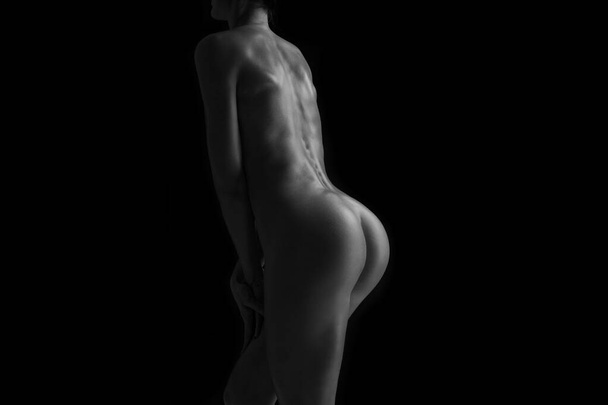 young female body against a dark background - Fotoğraf, Görsel