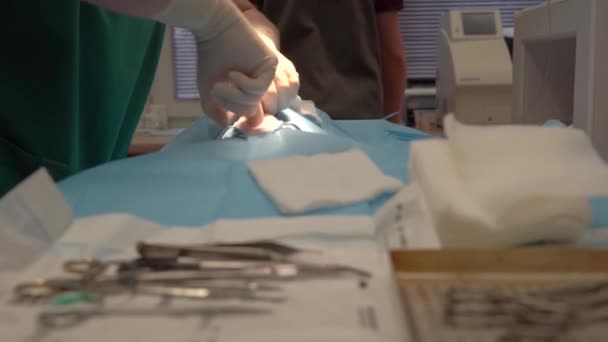 メスやクランプはさみ消毒包帯などの道具を使って外科手術を行います。血の跡 - 映像、動画