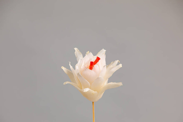 Single carnation made from the Pekinqese cabbage on grey background. carving - Foto, immagini