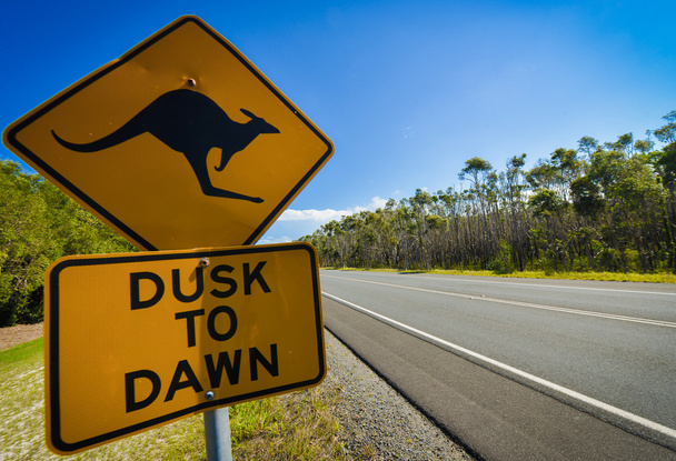 Klokan dopravní značka vedle dálnice, Austrálie - Fotografie, Obrázek