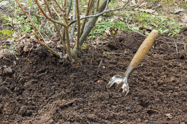 a hoe for weeding and caring for the land, sticking out of the soil, you can see weeds and debris. Protect the planet, care for plants and soil as a reminder of earth day on April 22. - Photo, image